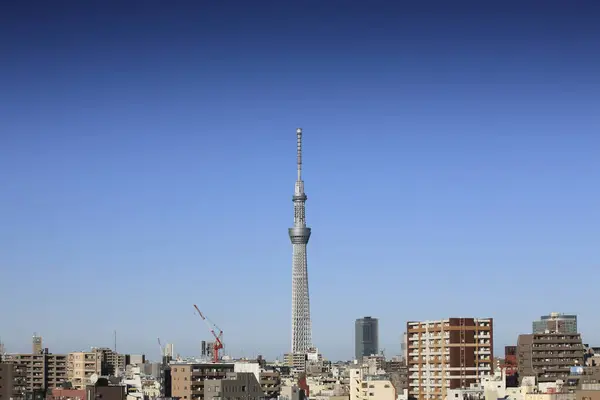 Tokyo Sky Träd Blå Himmel Bakgrund — Stockfoto