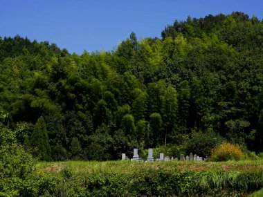 Japon mezarlığındaki mezar taşlarının gündüz görüntüsü 