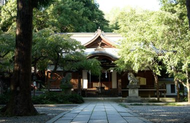 Kyoto 'daki Japon tapınağı manzarası