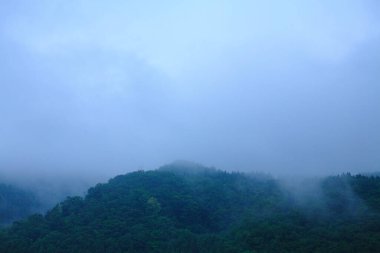 Dağlardaki sisli karanlık orman