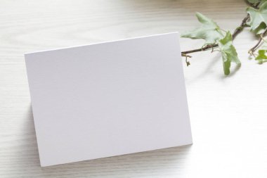 Yeşil sarmaşık yapraklarının yanında duran boş beyaz kart