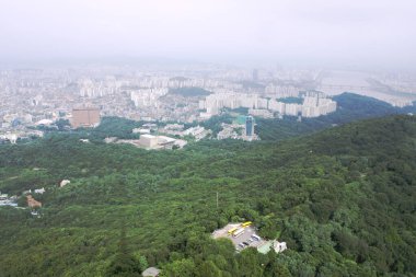 Büyük şehir ve ormanın havadan görünüşü 