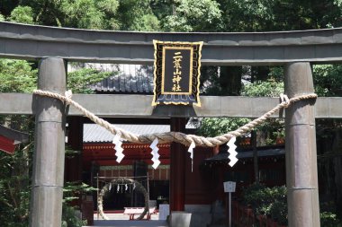 Geleneksel Japon torii kapısı yemyeşil ağaçların arasında duruyor.