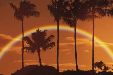 Okyanusun üzerinde gün batımı