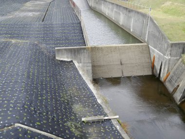 Akan su ve bitki örtüsü ile beton kanal