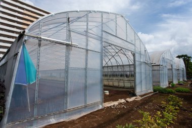 Bahçedeki yeşil sera.