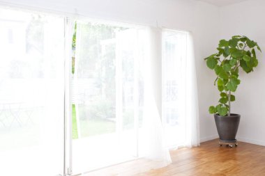 Moda tasarımlı, güzel, modern evin iç çekimi.