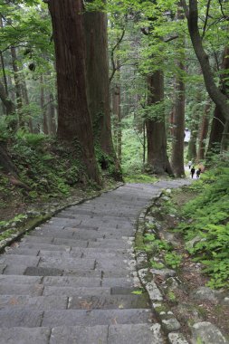 Güzel taş yolu manzarası parkın