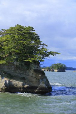 Bereketli yeşil bitki örtüsüyle deniz ve kayalık adaların güzel manzarası. Miyagi Bölgesi, Japonya 'daki Matsushima Adaları