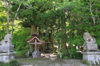Shirakawa Bariyeri (Shirakawa no Seki), Shirakawa, Fukushima, Japonya 'da tarihi bir alan. Shirakawa Bariyeri, Oshu Kaido otoyolunda antik Japon Yamato kabileleri ile kuzey Emishi kabileleri arasında sınır çizen bir sınır tahkimatıydı.