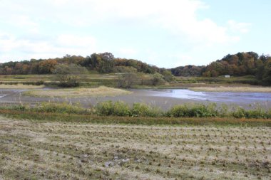 Nehir ve ormanlı sonbahar manzarası 