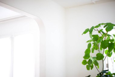 Moda tasarımlı, güzel, modern evin iç çekimi.