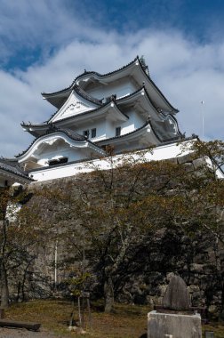 Güzel Japon tapınağı, Budizm konsepti