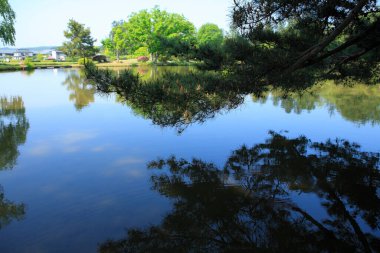 Parktaki güzel nehir