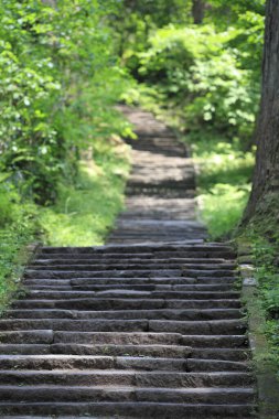 Yeşil parktaki merdivenler.