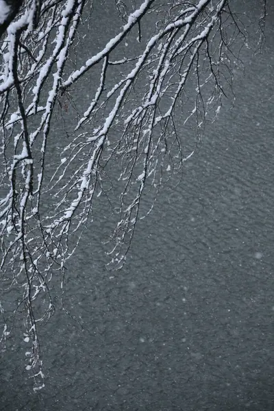 Winterlandschap Met Besneeuwde Bomen Meer — Stockfoto