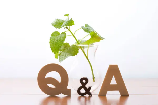 Symbol Wooden Table Concept Answers Questions Green Plant Vase — Stock Photo, Image