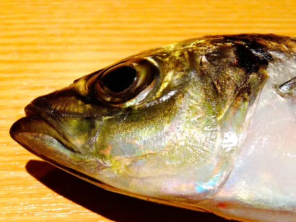 Close Delicious Fresh Raw Tuna Fish — Stock Photo, Image