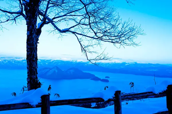Όμορφο Χειμερινό Τοπίο Χιόνι — Φωτογραφία Αρχείου