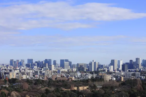 Vista Sullo Skyline Tokyo Una Giornata Sole Giappone — Foto Stock