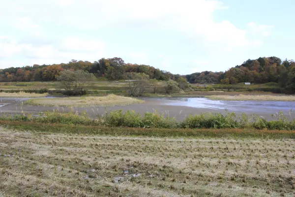 Nehir ve ormanlı sonbahar manzarası 