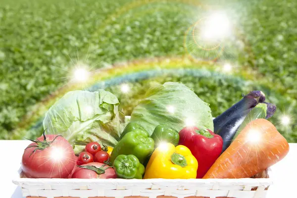 新鮮な野菜や果物をバスケットに入れて — ストック写真