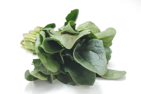 Green Japanese Mustard Spinach Vegetables — Stock Photo, Image