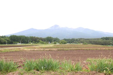 Japonya 'da yüksek bir dağ manzarası.