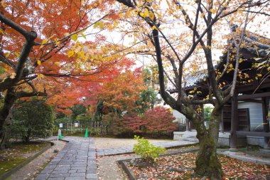 Sonbahar manzarası, sonbahar parkında sonbahar sezonu 