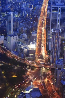 Tokyo şehir manzarası yukarıdan görünüyor. Japonya