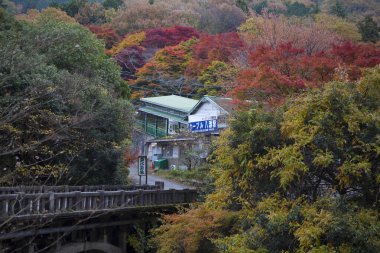 Sonbahar parkındaki güzel köprü manzarası 