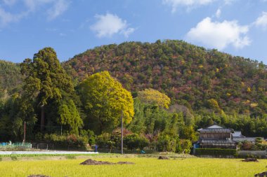 Dağların güzel manzarası