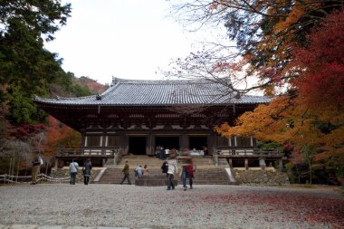 Turistler sonbahar mevsiminde geleneksel Japon bahçesini ziyaret ediyorlar