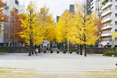 Karmaşık cepheler ve temiz yapısal çizgiler bu canlı Japon kentsel yolunun estetiğini tanımlar..