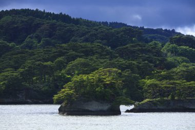 Bereketli yeşil bitki örtüsüyle deniz ve kayalık adaların güzel manzarası. Miyagi Bölgesi, Japonya 'daki Matsushima Adaları