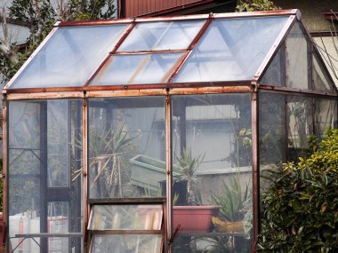 Gündüz vakti büyüyen bitkilerle sera manzarası 