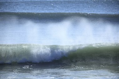 Sahilde güzel deniz dalgaları       