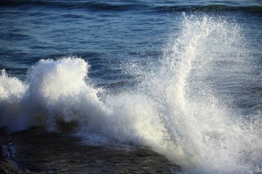 Sahildeki okyanus dalgaları.        