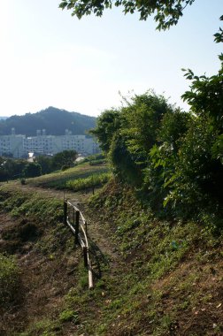 Tayvan 'da dağın manzarası