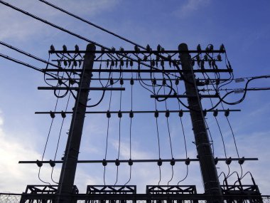 Mavi gökyüzüne karşı yüksek voltajlı elektrik hatları, düşük açı