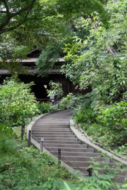 Yeşil ağaçlı merdivenler. 