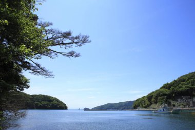 Bereketli yeşil bitki örtüsüyle deniz ve kayalık adaların güzel manzarası. Miyagi Bölgesi, Japonya 'daki Matsushima Adaları