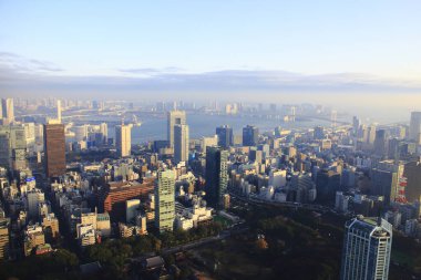 Tokyo şehir manzarası yukarıdan görünüyor. Japonya