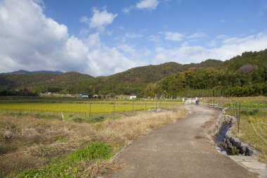 kırsal güzel manzara  