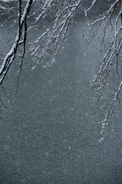Winterlandschap Met Besneeuwde Bomen Meer — Stockfoto