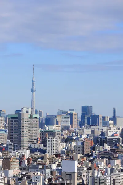 Widok Panoramę Miasta Tokio Słoneczny Dzień Japonia — Zdjęcie stockowe