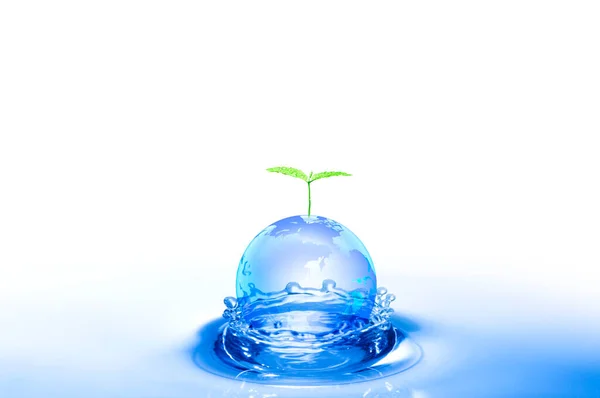 Frischwassertropfen Wasser Mit Blatt — Stockfoto