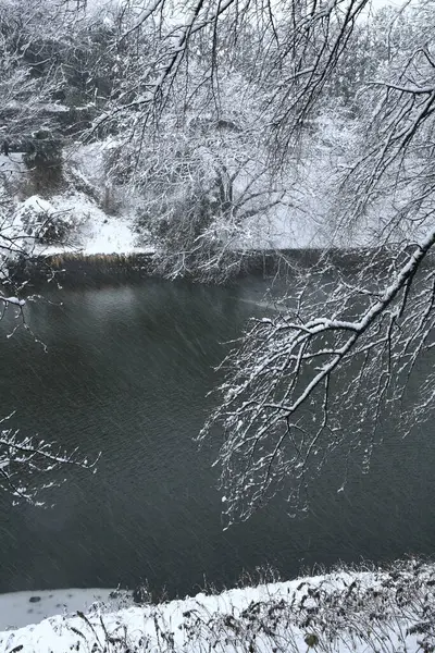 Χειμερινό Τοπίο Χιονισμένα Δέντρα Και Λίμνη — Φωτογραφία Αρχείου