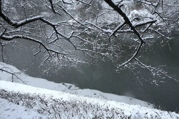 雪の木と湖で冬の風景 — ストック写真