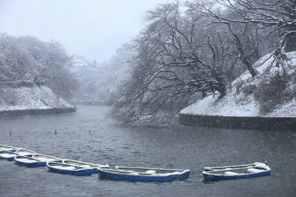 Karla Kaplı Ağaçlar Nehirlerle Kaplı Kış Manzarası — Stok fotoğraf